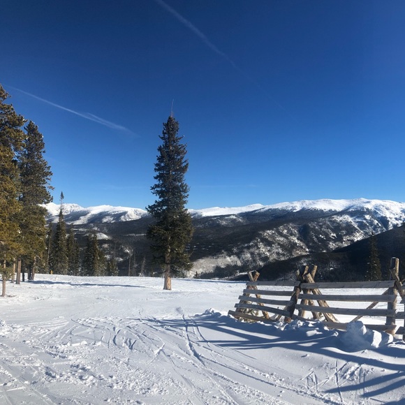 Meet your Posher, Julia - Picture 1 of 1